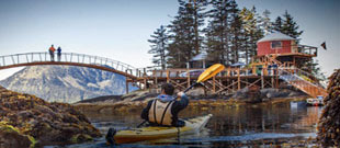 Orca Island Cabins 