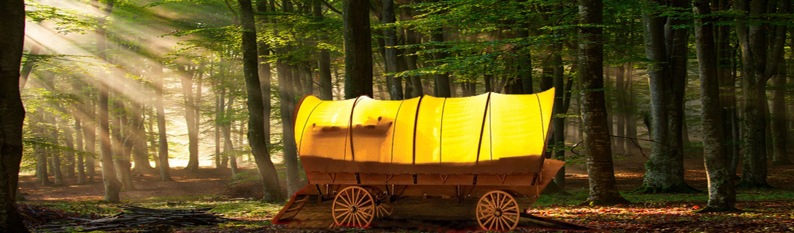 Best Glamping Destinations Wagon