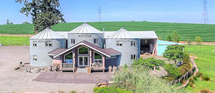 Abbey Road Farm