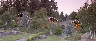 Carson Ridge Luxury Cabins