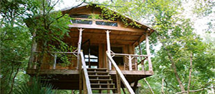 Edisto River Treehouses