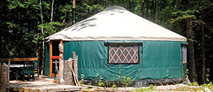 Maine Forest Yurts
