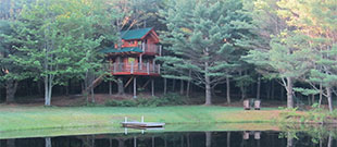 Moose Meadow Lodge & Treehouse