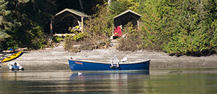 Orca Dreams Whale Watching Camp