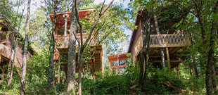 Rivers Edge Treehouse Resort