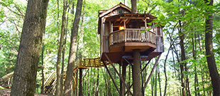 The Mohicans Treehouse