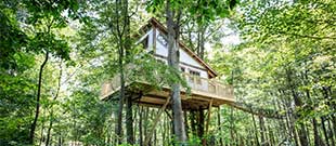 The Mohicans Treehouse