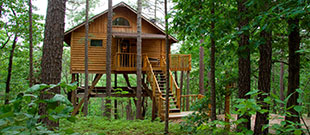 Treehouse Cottages